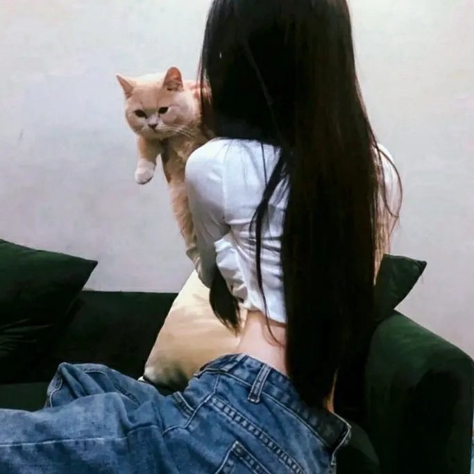 猫片之无喵生还